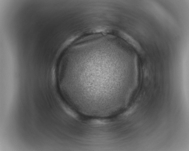 X0000113330250200909281233