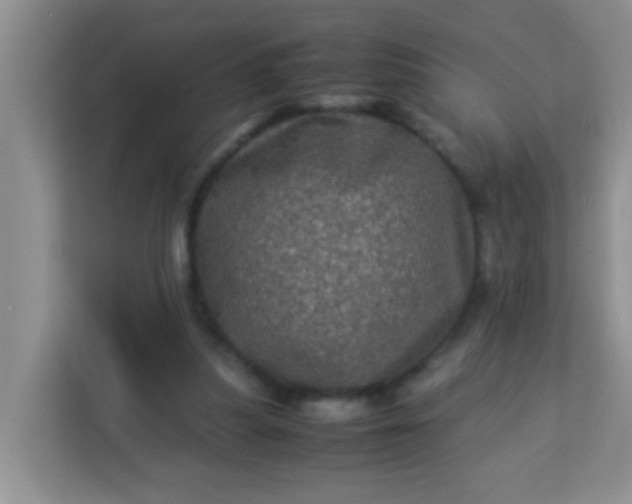 X0000113330251200909281233