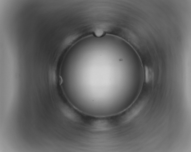 X0000113330252200909281233