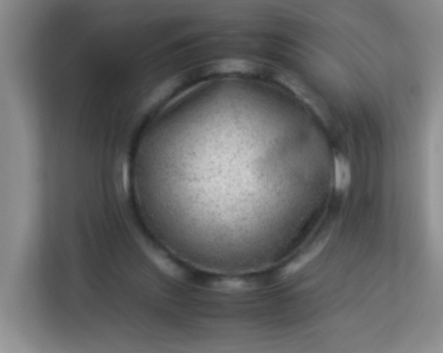 X0000113330253200909281233