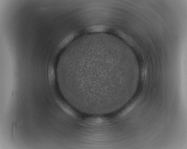 X0000113330254200909281233