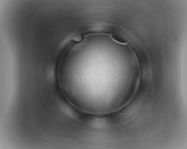 X0000113330256200909281233