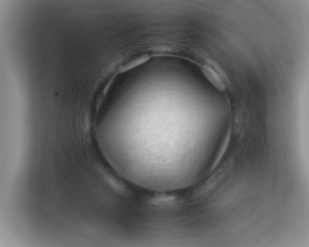 X0000113330257200909281233