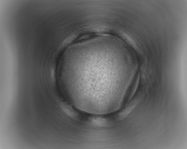 X0000113330258200909281233