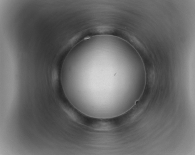 X0000113330260200909281233