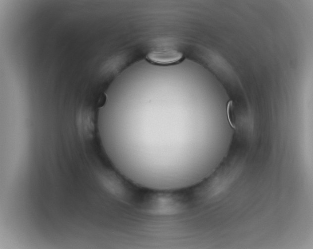 X0000113330264200909281233