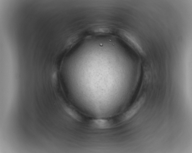 X0000113330265200909281233