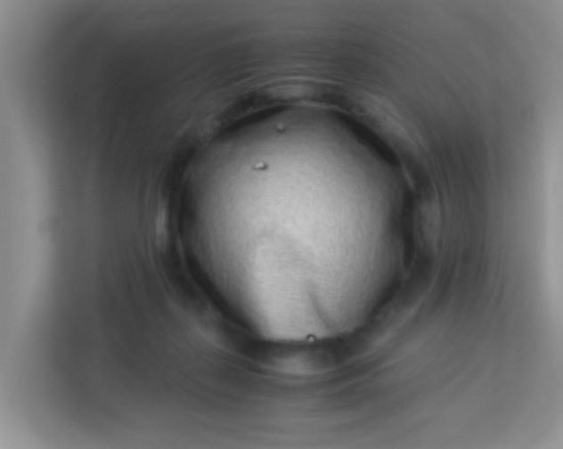 X0000113330267200909281233
