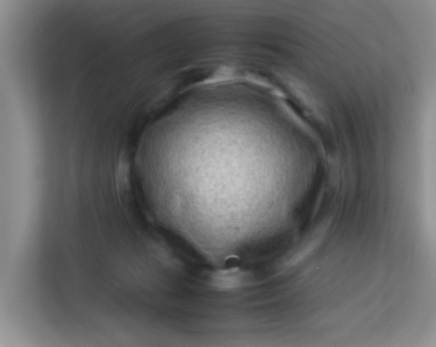 X0000113330269200909281233