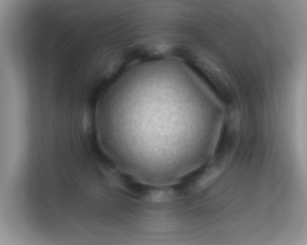 X0000113330274200909281233