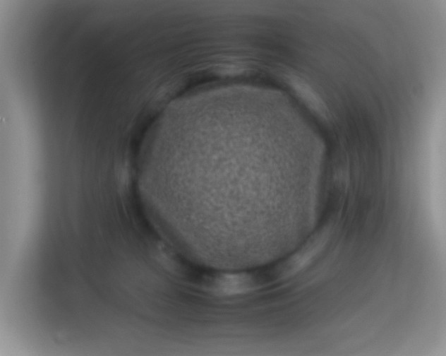 X0000113330277200909281233