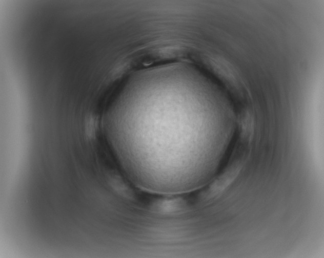 X0000113330278200909281233