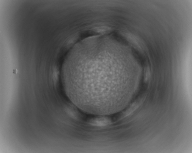 X0000113330279200909281233