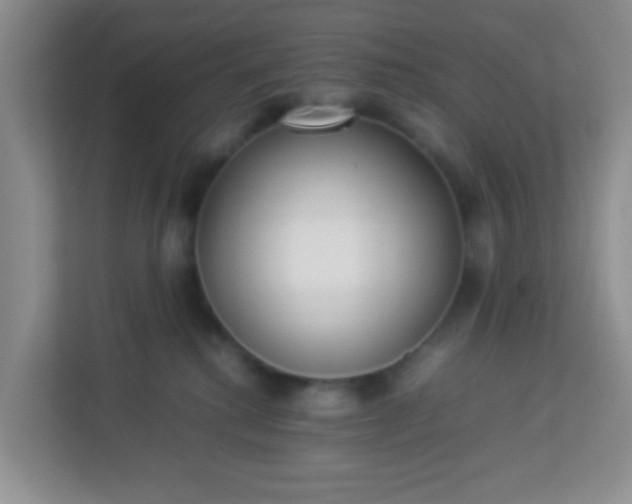 X0000113330280200909281234