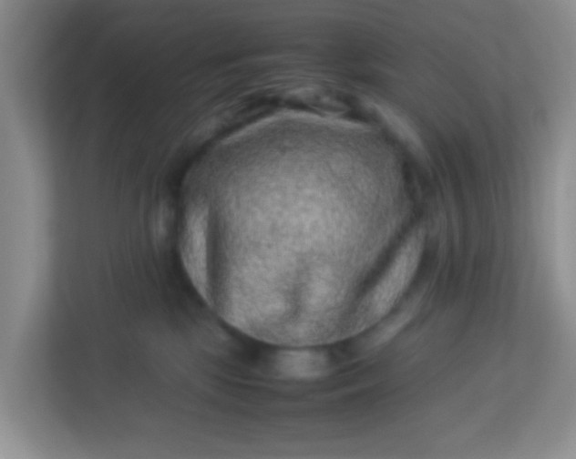 X0000113330281200909281234