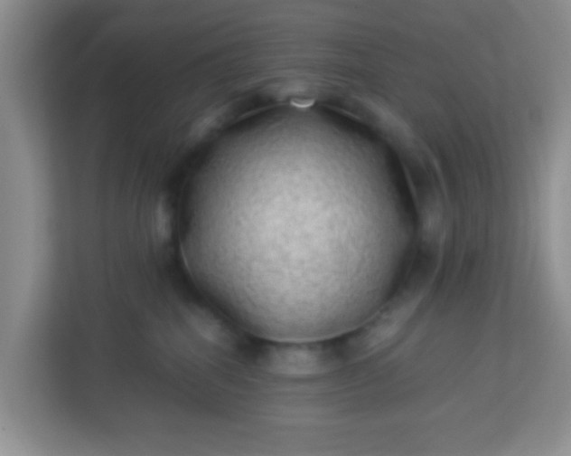 X0000113330282200909281234