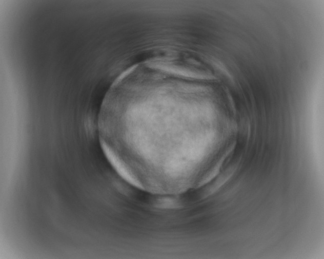 X0000113330285200909281234