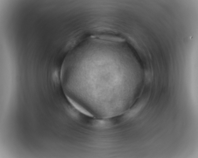 X0000113330286200909281234