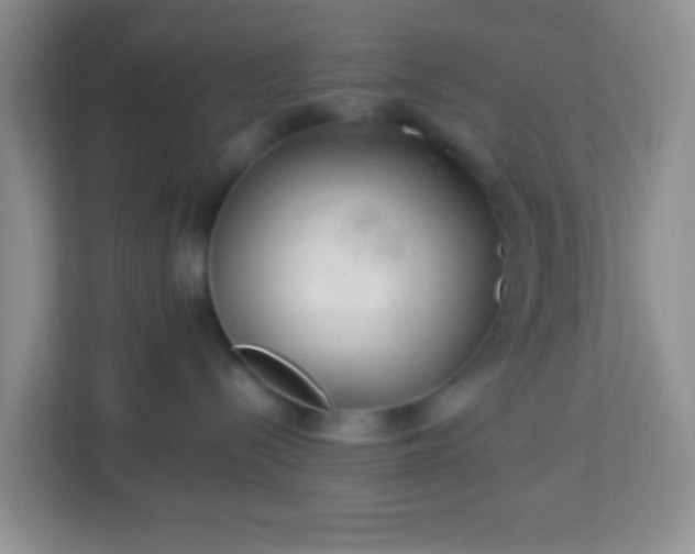 X0000113330288200909281234