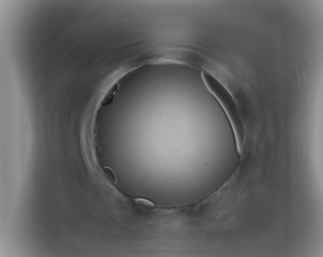 X0000113330289200909281233
