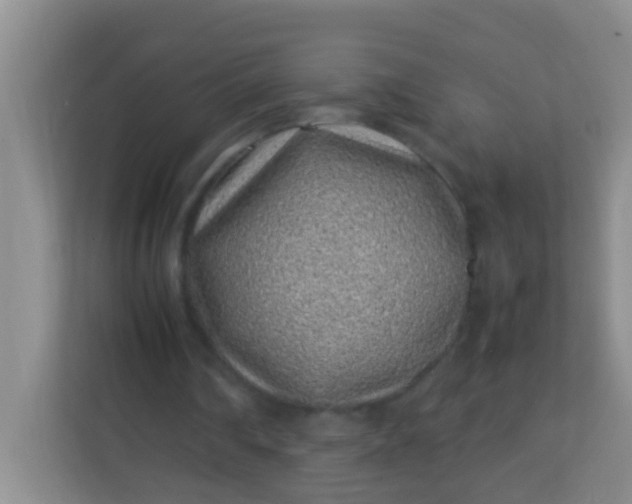 X0000113330290200909281233