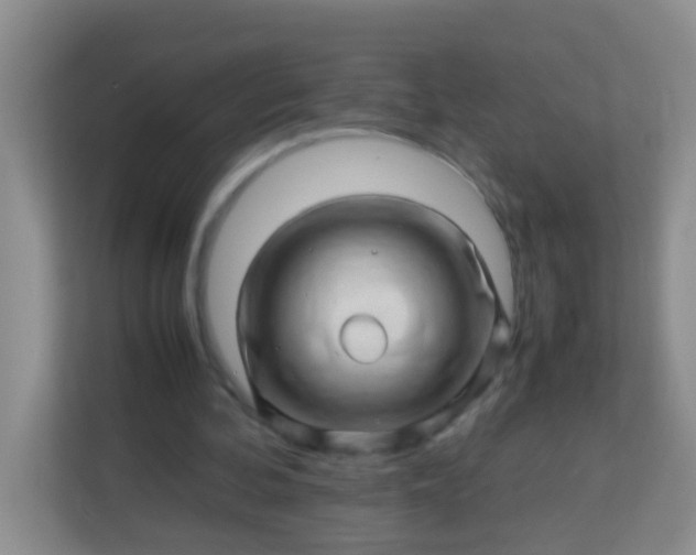 X0000113330292200909281233