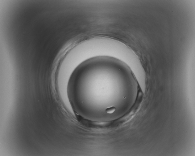 X0000113330293200909281233