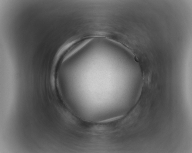 X0000113330294200909281233