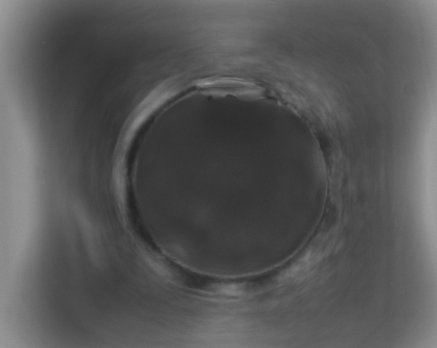 X0000113330295200909281233
