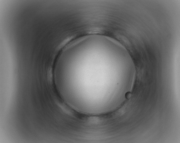 X0000113330298200909281233