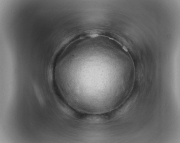 X0000113330299200909281233