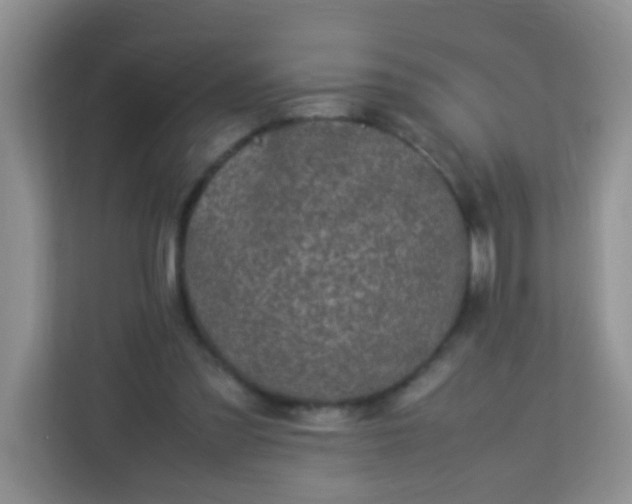 X0000113330301200909281233