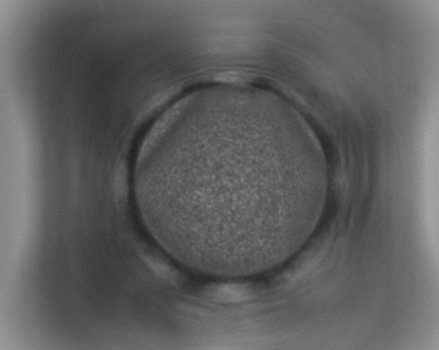 X0000113330303200909281233