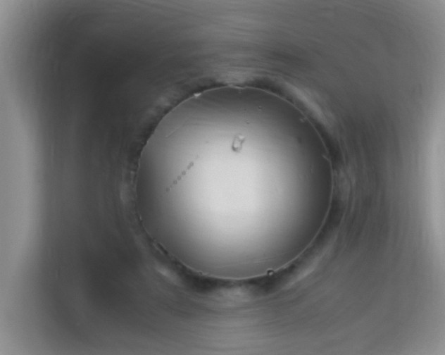 X0000113330307200909281233