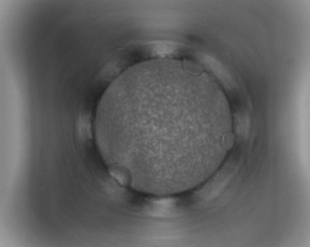 X0000113330313200909281233