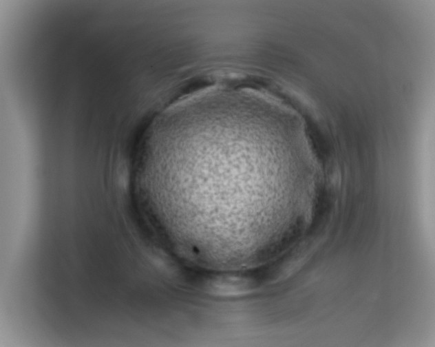 X0000113330315200909281233