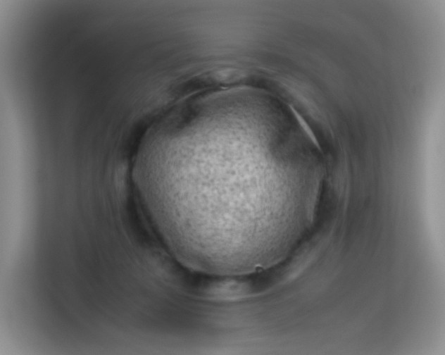 X0000113330319200909281233