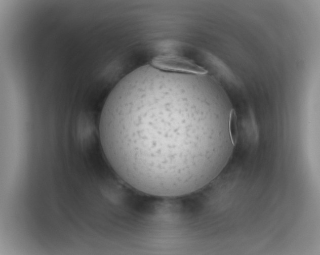 X0000113330320200909281233