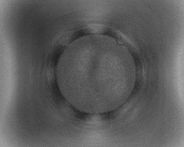 X0000113330325200909281233