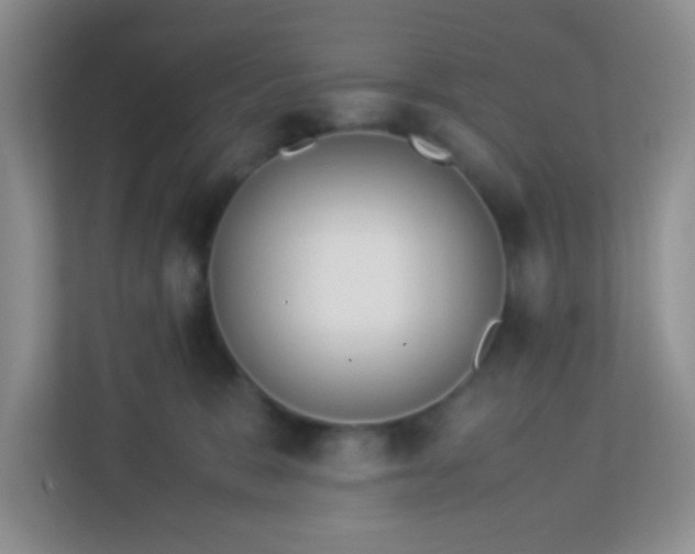 X0000113330327200909281232