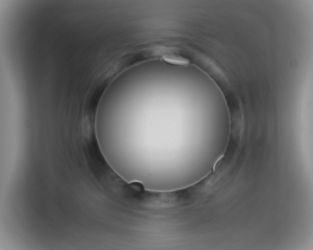 X0000113330329200909281232
