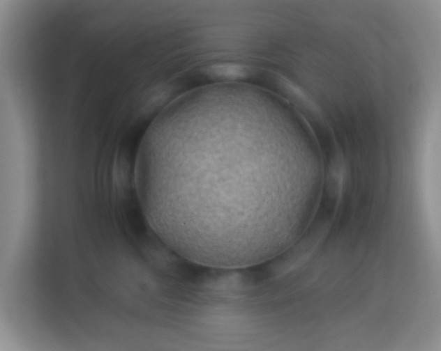 X0000113330330200909281232