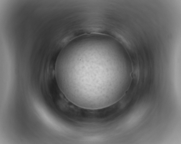 X0000113330334200909281232