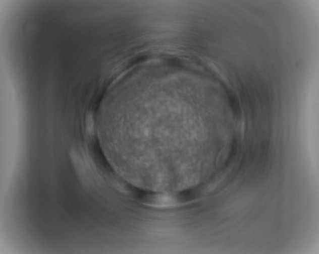 X0000113330335200909281232