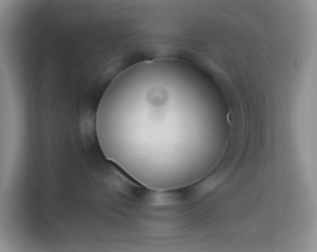 X0000113330336200909281232