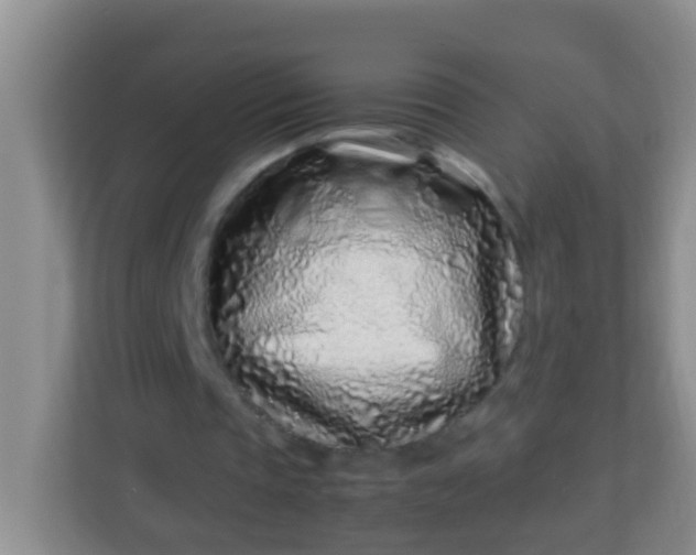 X0000113330337200909281232