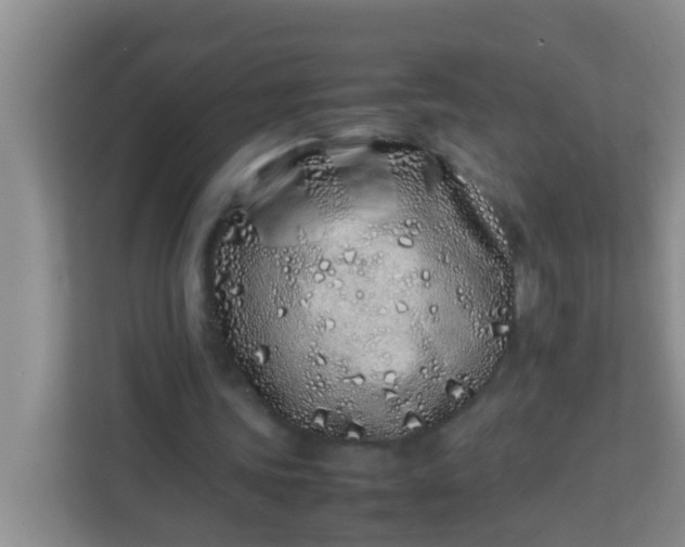 X0000113330339200909281232