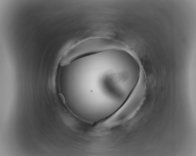 X0000113330340200909281232