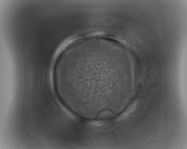 X0000113330341200909281232