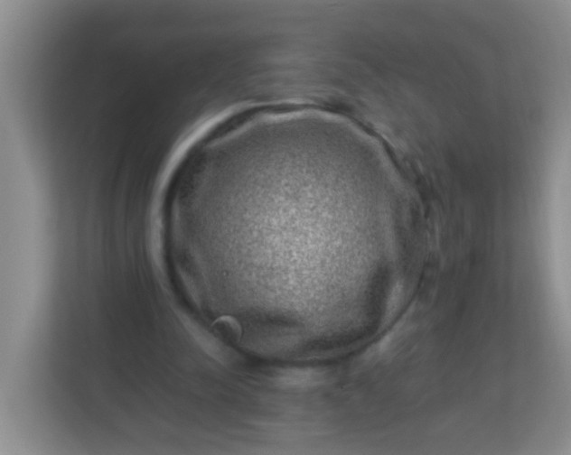 X0000113330342200909281232